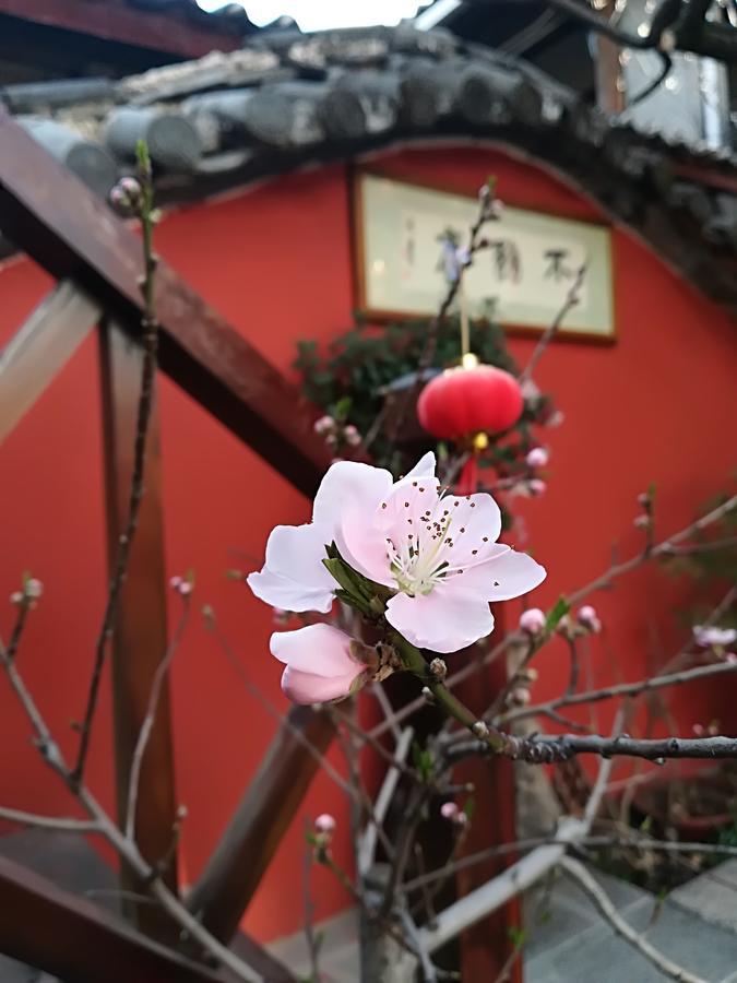 Lijiang Buwuzhai Inn Buitenkant foto